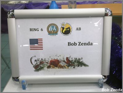 My judging ring sign
